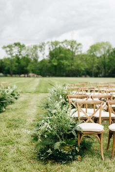 rows of chairs lined up in the grass