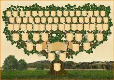 a family tree is shown with the names and numbers on it, as well as an empty