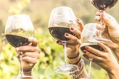 several people holding wine glasses in their hands and toasting with red wine on the other hand