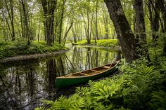 a canoe is sitting on the bank of a river surrounded by trees and bushes, with its reflection in the water