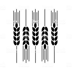 three black and white images of ears of wheat on a white background stock photo - image