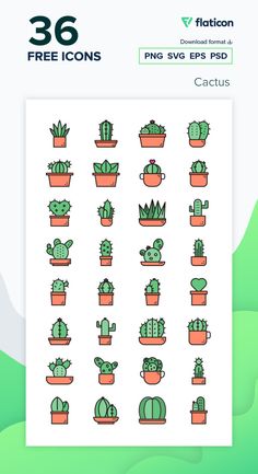 the cactus stickers are shown in green and pink colors, with an image of different types