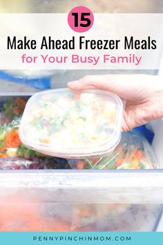 a person holding a plastic container filled with food and text overlay reads 15 make ahead freeze meals for your busy family