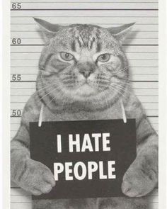 a cat holding a sign that says i hate people in front of mugshots