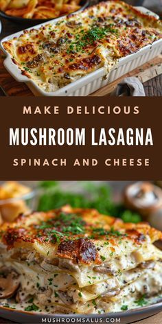 Whip up a comforting Mushroom Lasagna with Grape Tomatoes! ayers of flavor and creamy goodness make this a must-try dish. Perfect for any occasion! Wild Mushroom Lasagna, White Eggplant Lasagna, Creamy Mushroom Lasagna, Portabella Mushroom Lasagna, Portobello Mushroom Lasagna, Mushroom Lasagne Recipes, Vegetables Lasagna Recipe, Learning To Cook Recipes, Italian Dinner Sides