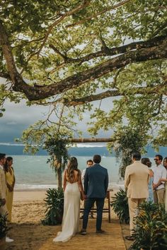 a couple getting married under a tree on the beach