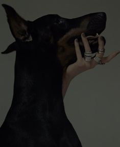 a woman holding her dog's hand in front of her face with both hands