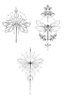 four different types of dragonflies in black and white, each with an intricate design