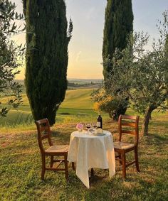 an outdoor table with two chairs and a bottle of wine on it in the grass