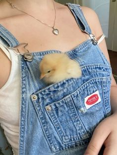 a woman in overalls holding a baby chicken inside her pocket with the tag on it's chest