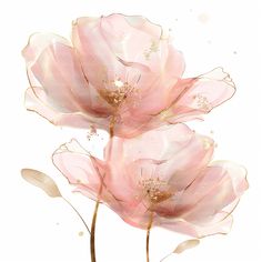 two pink flowers with gold leaves on a white background and watercolor painting effect in the middle