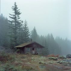 an old cabin in the woods on a foggy day