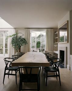 a dining room table with chairs and a potted plant