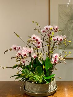 a potted plant with pink flowers on a table