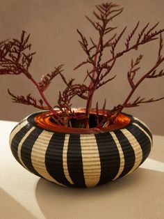 a black and white striped vase with a plant in it