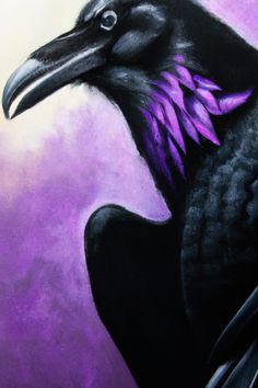 Raven bird art in magenta and black Raven Iphone Wallpaper, Raven With Flowers, Magical Raven, Colorful Raven Art, Raven Painting, Raven Surreal Art, Raven Bird, Black Raven, Black Crow