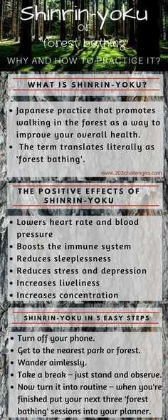 Japanese Practice, Shinrin Yoku, Japanese Forest, Nature Peace, Quotes Nature, Forest Bathing, Forest School, Ideas Quotes, Nature Quotes