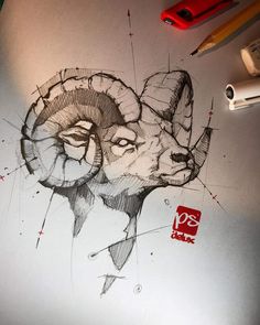 a pencil drawing of a ram on paper