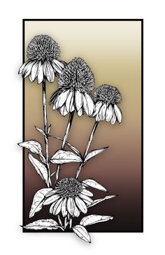 three flowers are shown in black and white on a brown, yellow and beige background