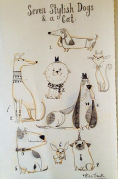 seven stylish dogs and a cat are shown in this hand - drawn illustration