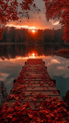 a dock with leaves on it and the sun setting in the distance over water surrounded by trees