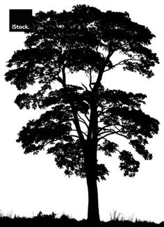 a black and white silhouette of a tree