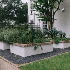 several planters are lined up in front of a white house with trees and bushes