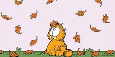 the garfield cat is sitting on the ground surrounded by leaves and falling from the sky