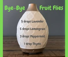 Essential Oils Diffuser, Essential Oil Combinations, Doterra Essential Oils Recipes, Fruit Fly, Essential Oil Remedy, Young Living Essential Oils Recipes, Essential Oils Guide