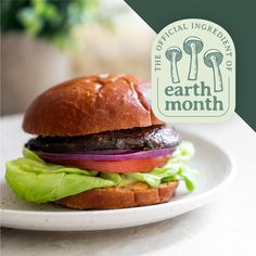 a hamburger with lettuce, tomato and onion on it sitting on a plate