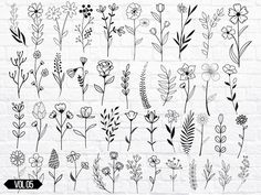 various flowers and plants drawn in black ink on a white brick wall, set of six