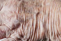 an old woman's hand with wrinkles on it