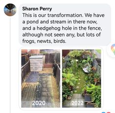 two screenshots of the same person's backyard with text that reads, sharon perry this is our transformation we have a pond and stream in there now and a hedge hole