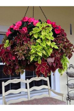 a potted plant hanging from a window sill over a bench with pink and green flowers on it