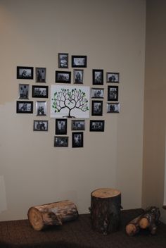 a room with pictures on the wall and tree stumps in front of it,