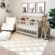 a baby's room with a giraffe, chair and pictures on the wall