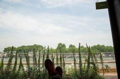 two people sitting on a bus looking out the window at trees and water in the distance