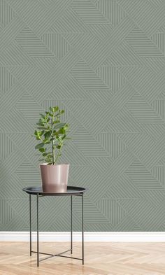 a potted plant sitting on top of a table next to a green wallpaper