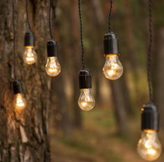 several light bulbs hanging from the side of a tree with string lights attached to it