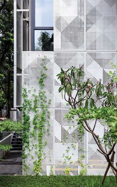 a white building with lots of green plants growing on it's sides and windows