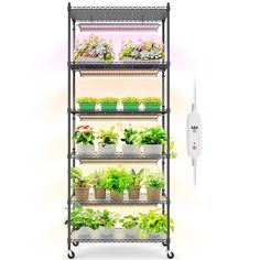 an image of a plant rack with plants on it