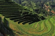 an aerial view of some very pretty green hills and valleys with grass growing on the sides