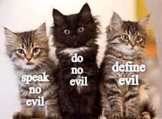 three small kittens sitting next to each other with the words do speak no evil