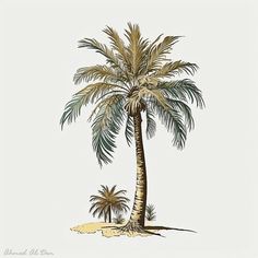 a drawing of a palm tree on the beach