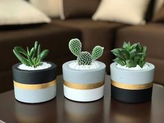 three potted plants sitting on top of a table