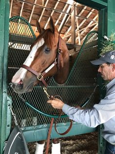 a man standing next to a brown horse in a pen with hay on it's head