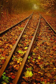 a train track with leaves on the ground and trees in the backgrouds