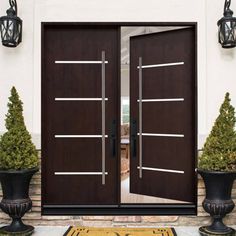 two brown double doors in front of a white house with potted plants on either side