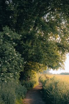 Summer in the countryside. #Bath #England #sunset #countryside Country Side England, Portuguese Countryside, British Countryside Aesthetic, Sunset Countryside, England Spring, Country England, Countryside Life, Countryside Living, English Landscape