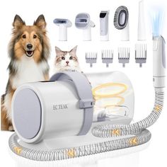 a dog is sitting next to a hair dryer and its contents are shown in the background